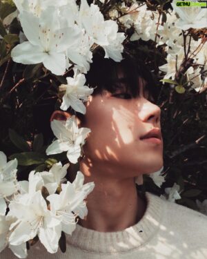 Bang Jae-min Instagram - 🌱