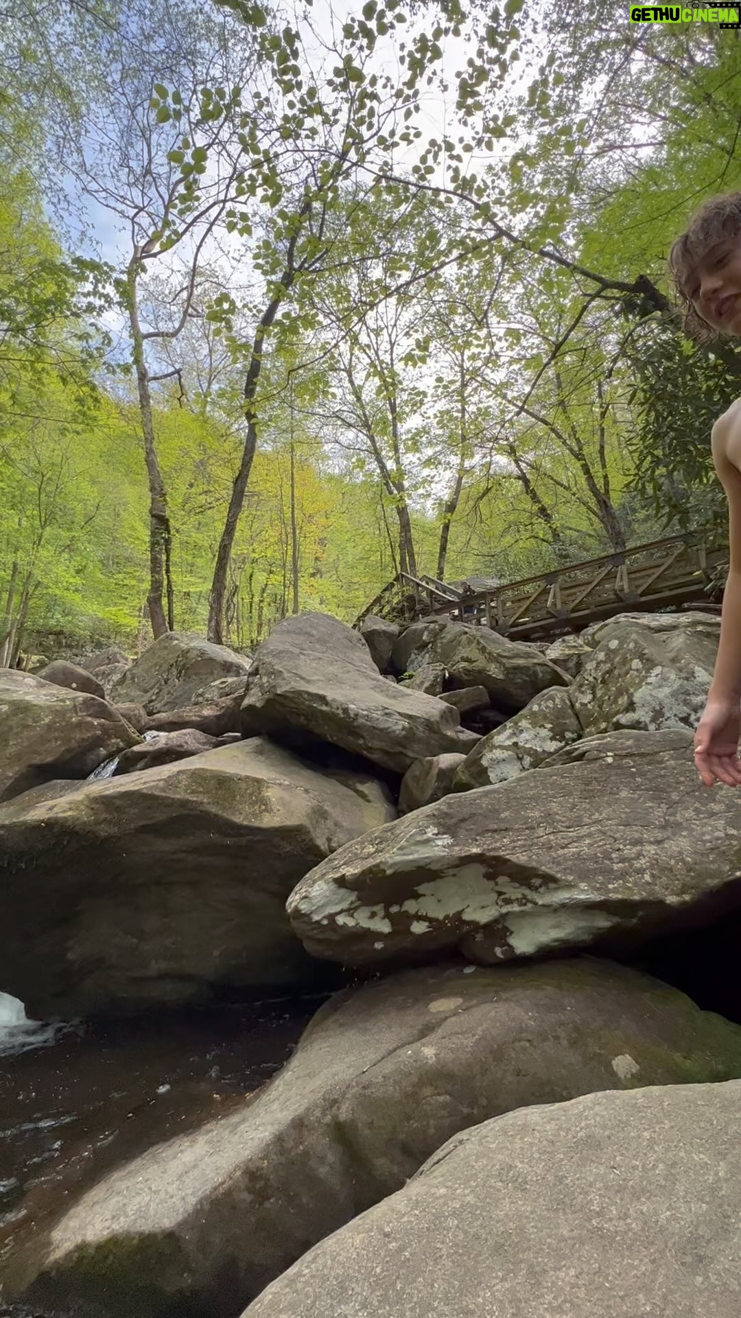Banks Repeta - 20.9K Likes - I see water. I feel the need to jump in. #nature #waterfalls #fun #coldwatertherapy