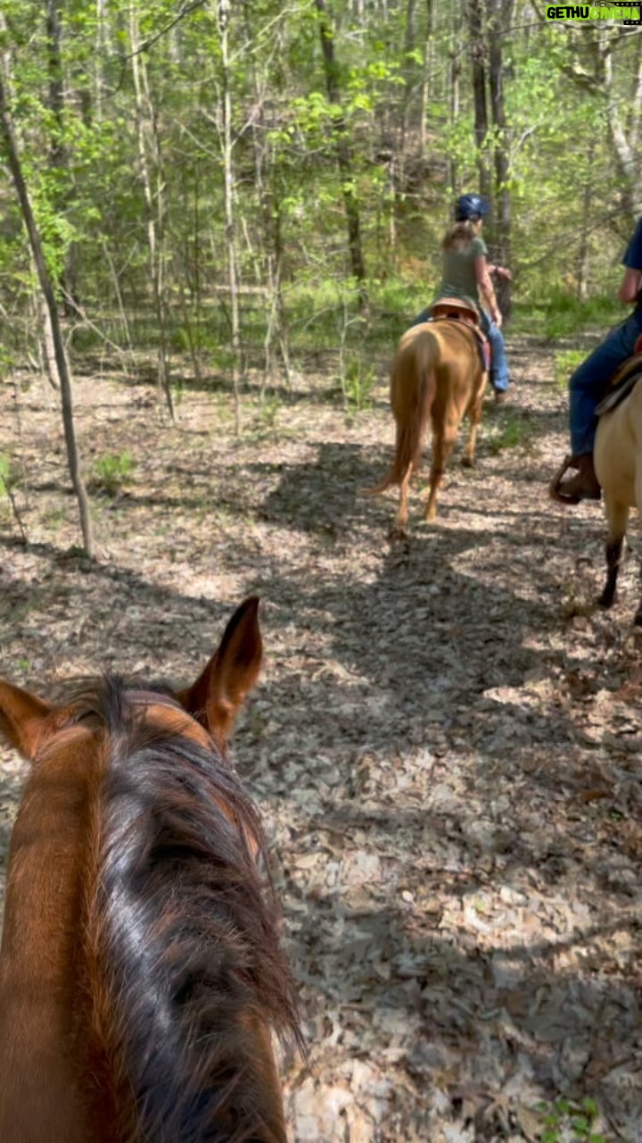 Banks Repeta - 10.3K Likes - Trail Ride Thank you Beverly Phillips and Marjie Olsen. #nature #greatoutdoors #horse #trailride