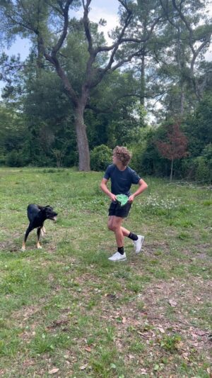 Banks Repeta Instagram - Me and my Frisbee Dog #frisbeedog #gooddog #fetch #catahoulamix