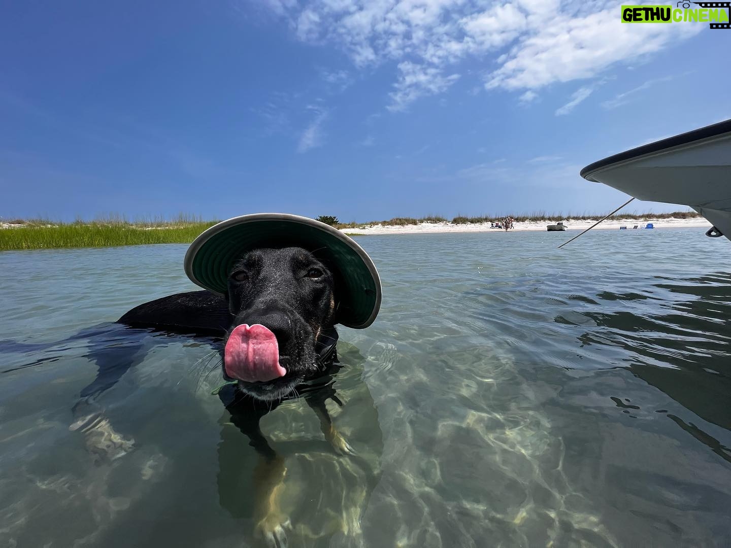 Banks Repeta - 10.8K Likes - My dog. #dog #gooddog #waterdog