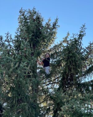 Banks Repeta Instagram - Climb a tree!  #treeclimbing #familytime #fun #grandmashouse #freakingmymomout