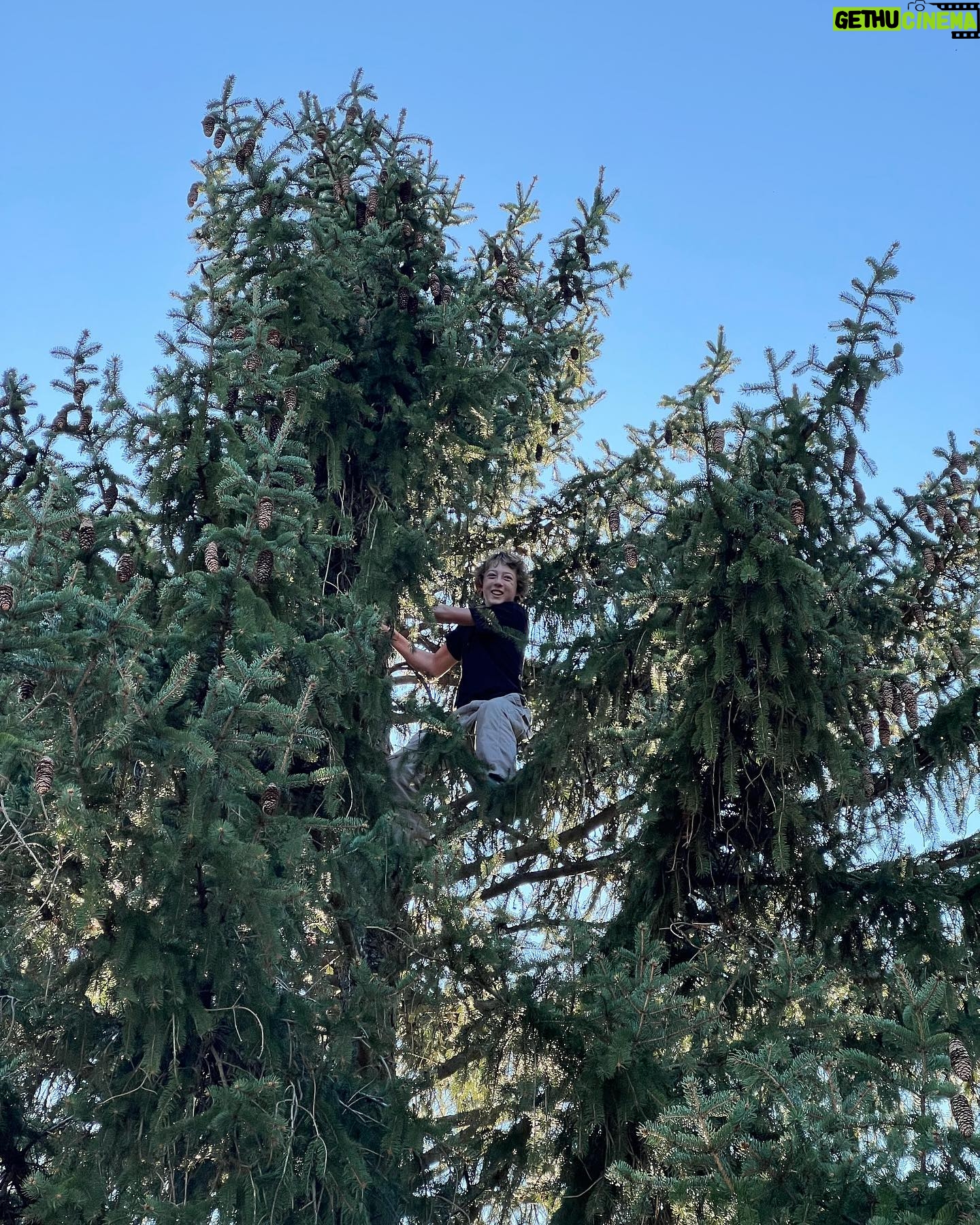 Banks Repeta - 38.7K Likes - Climb a tree! #treeclimbing #familytime #fun #grandmashouse #freakingmymomout
