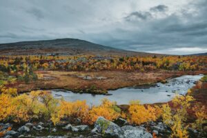 Bára Vávrová Instagram - Right now I wouldn’t mind to disappear in the colourful forest of Grøtådalen, sleep in a tent next to the lake Oasen or listen to the burning wood in the mossy cabin on the shores of Nedre Roasten. Autumn Femundsmarka is something else, always worth coming back to. 

#femundsmarka #fulufjället #gutulia #norge #sverige  #engerdal