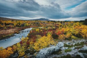 Bára Vávrová Instagram - Right now I wouldn’t mind to disappear in the colourful forest of Grøtådalen, sleep in a tent next to the lake Oasen or listen to the burning wood in the mossy cabin on the shores of Nedre Roasten. Autumn Femundsmarka is something else, always worth coming back to. 

#femundsmarka #fulufjället #gutulia #norge #sverige  #engerdal