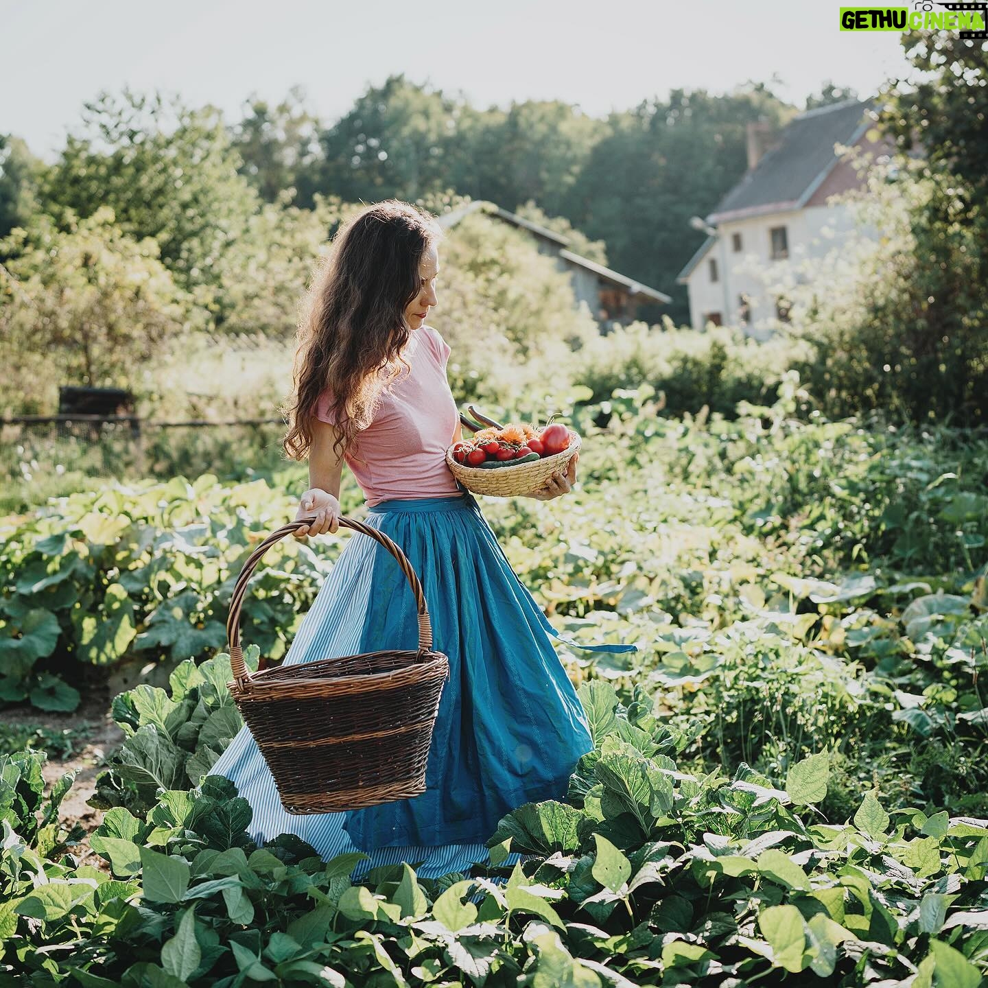 Bára Vávrová - 3 Likes - Never shared pictures from @farma_pod_holendry. Few snaps of a beautiful (yet sometimes also a bit rough) little world created by two cool people who I’m blessed to call friends.
#farming #jeseniky #czechia