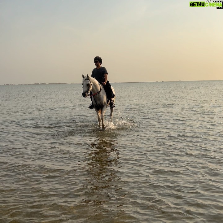 Baraa Alem - 5.3K Likes - اليوم تعرّفت على "قسورة" ومشينا في البحر الأحمر.
Today I met “Qaswara” and we walked on the redsea. I think I like him ..
📷 by @kartooosh