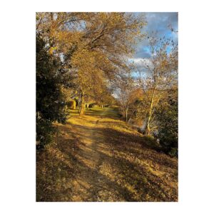 Barbara Cabrita Instagram - Beauté d’automne 🍂🌳🌿🍁🌾
#naturephotography #nofilter #catalonia