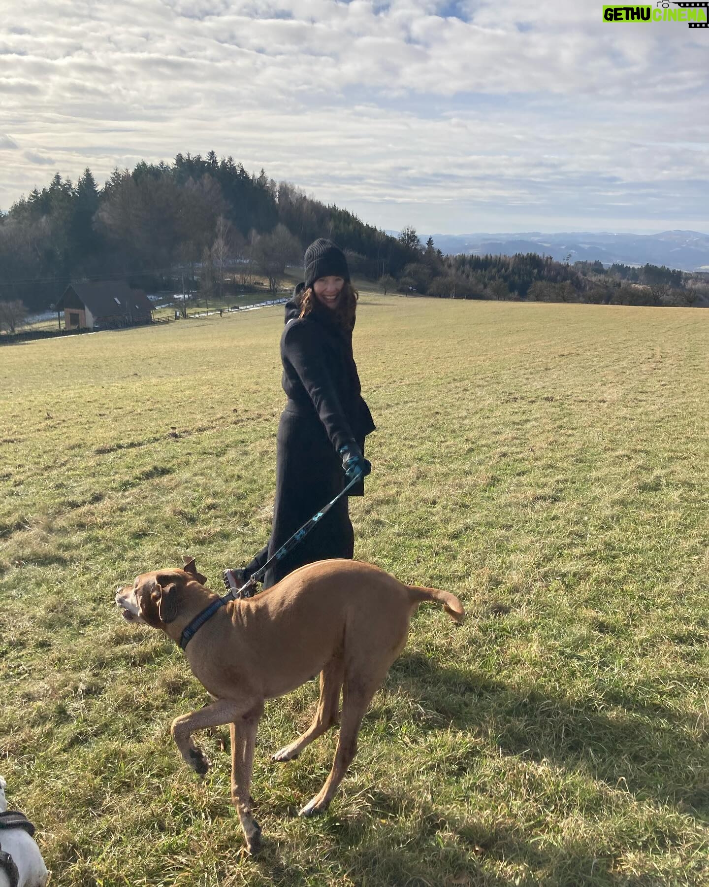 Barbora Seidlová - 383 Likes - To nemělo chybu! Děkujeme úžasným divákům z ValMezu… Marku Barošovi za skvělý servis, kuchtíkovi Frantovi za #vegan večeři, Áďe a Mie za to že nás vyvenčily… děkujem že si to můžeme takhle užívat! 💙