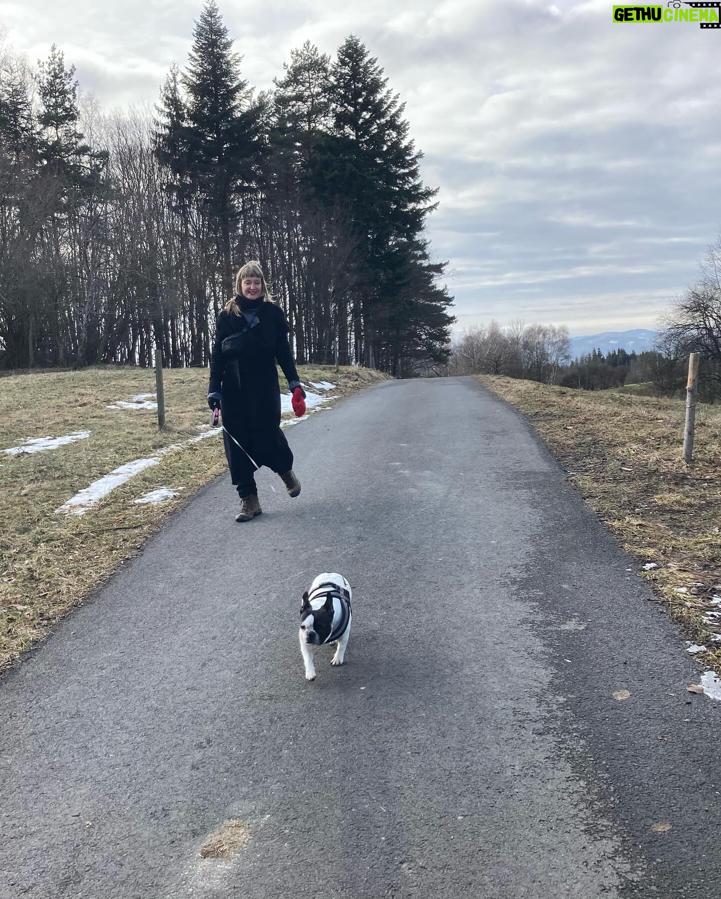 Barbora Seidlová - 383 Likes - To nemělo chybu! Děkujeme úžasným divákům z ValMezu… Marku Barošovi za skvělý servis, kuchtíkovi Frantovi za #vegan večeři, Áďe a Mie za to že nás vyvenčily… děkujem že si to můžeme takhle užívat! 💙