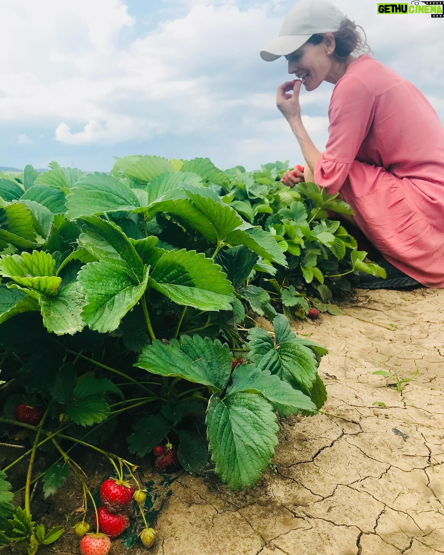 Barbora Seidlová - 406 Likes - 🍓🍓🍓
