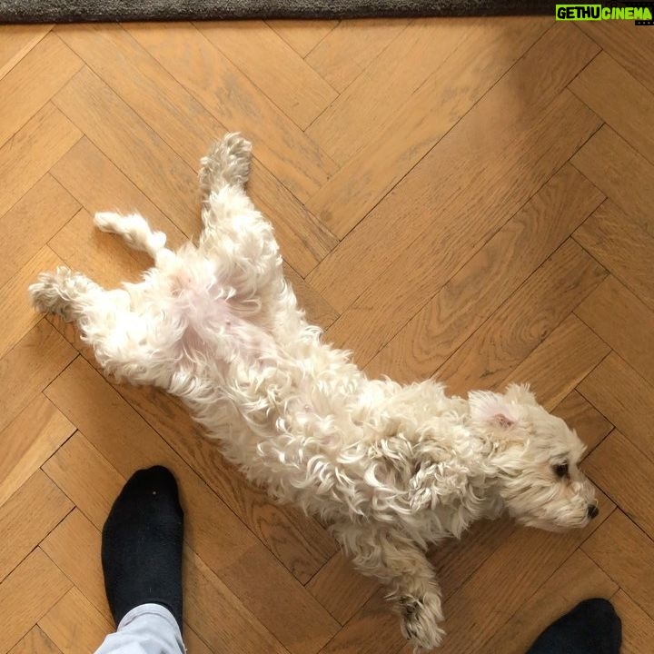 Bård Ylvisåker - 2.5K Likes - The Art of Body Language