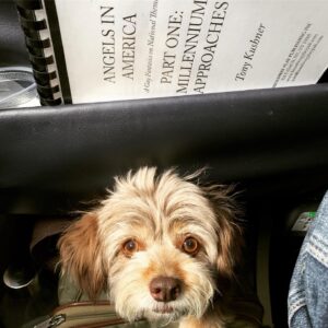 Barrett Foa Instagram - My Angel in America. #scotch #AngelsInAmerica  #stlouisrep .
.
. 
#repstl #repstlouis #repertorytheatreofstlouis