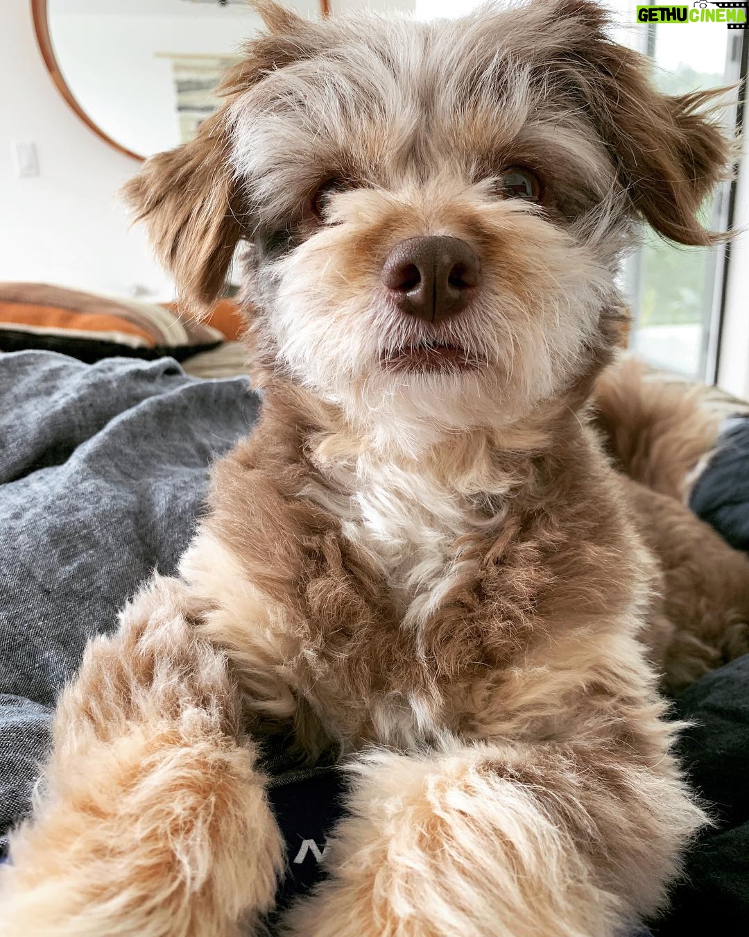 Barrett Foa - 5.2K Likes - She is made of pies. (This came out of my mouth yesterday when we were snuggling and it makes no sense but it’s my new term of endearment for her.) #madeofpies #scotch