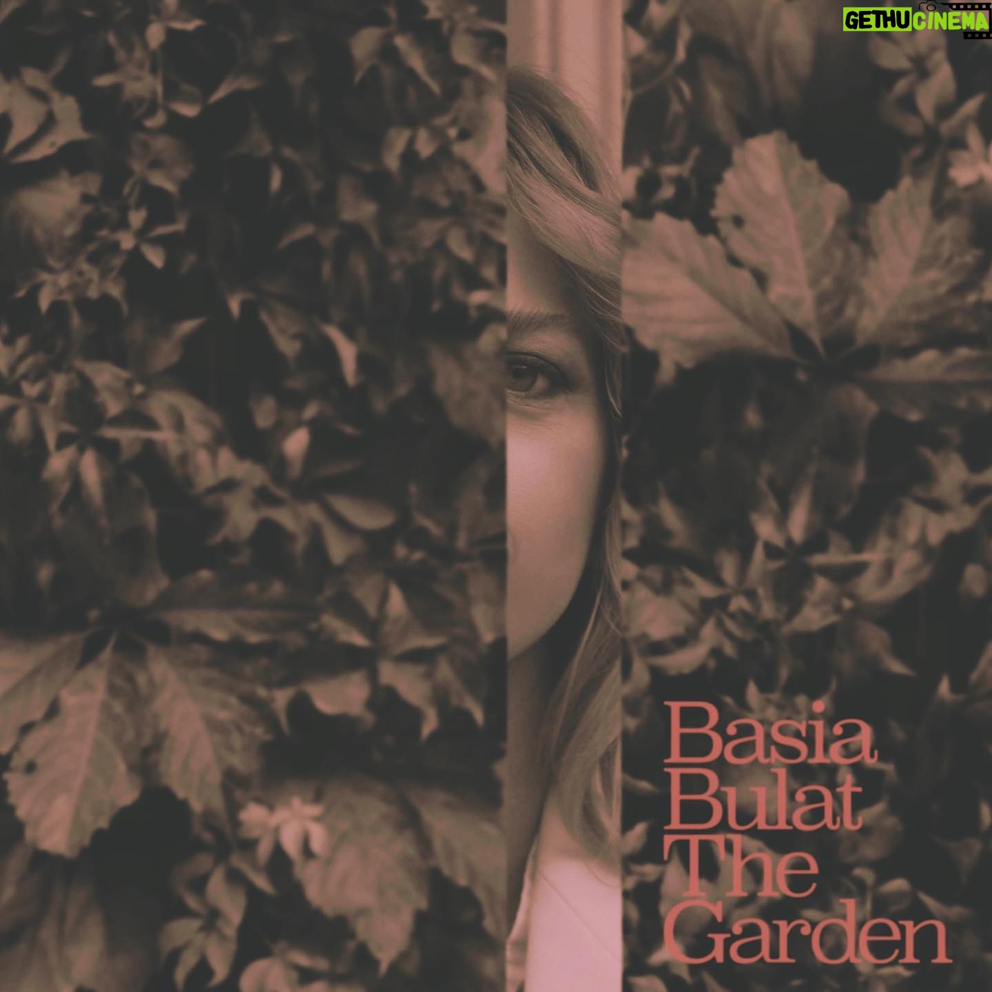 Basia Bulat - 476 Likes - 🌸The Garden🌸 was brought to life by many wonderful people - I want to share the story behind each new song version in the days to come, but first would love to say how grateful I am to everyone who was a part of this album 💜:
Arrangements and Orchestrations by:
Paul Frith
Owen Pallett
and Zou Zou Robidoux
The Quartet:
John Corban - Violin
Tomo Newton - Violin
Jen Thiessen - Viola
Zou Zou Robidoux - Cello
Extra magic and sparkle provided by:
Tamara Lindeman - Backing Vocals
Sarah Pagé - Harp
Ben Whiteley - Upright Bass
Andrew Woods - Mellotron
Produced by Mark Lawson and myself
Recorded and mixed by Mark Lawson
Assistant Engineered by Andrew Woods
Mastered by Harris Newman
Artwork magic:
Photography by Richmond Lam
Additional photography and Layout by Emy Storey
Hair and Makeup by Brigitte Lacoste
Styling by Amanda Van Der Siebes
Special thanks to Lisa Moran for her guidance and perspective always , to Dounia Mikou for providing a safe studio nest to record in, and to Justin at Secret City Records for believing in me and in this idea from the very beginning 💜🌸💜