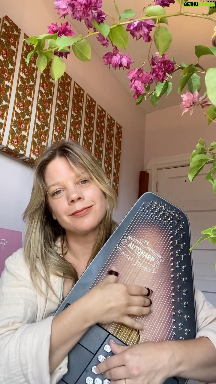 Basia Bulat - 746 Likes - Excited to tune these 36 strings each night for you sweet folks in London Guelph and Hamilton❤️ first night at @theaeolian is sold out but tickets for the following nights this weekend are in le bio ! 🥰