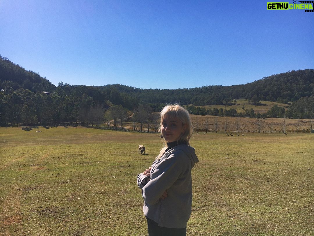 BeBe Bettencourt - 3 Likes - A very important and beautiful visit to @wherepigsflyfarmsanctuary to celebrate 3 years since making the best decision of my life 🐷🌱 such selfless and compassionate work is done at this lovely place - entirely obvious once you meet the gorgeous animals that have been saved from a cruel fate and now reside here happily❤️
