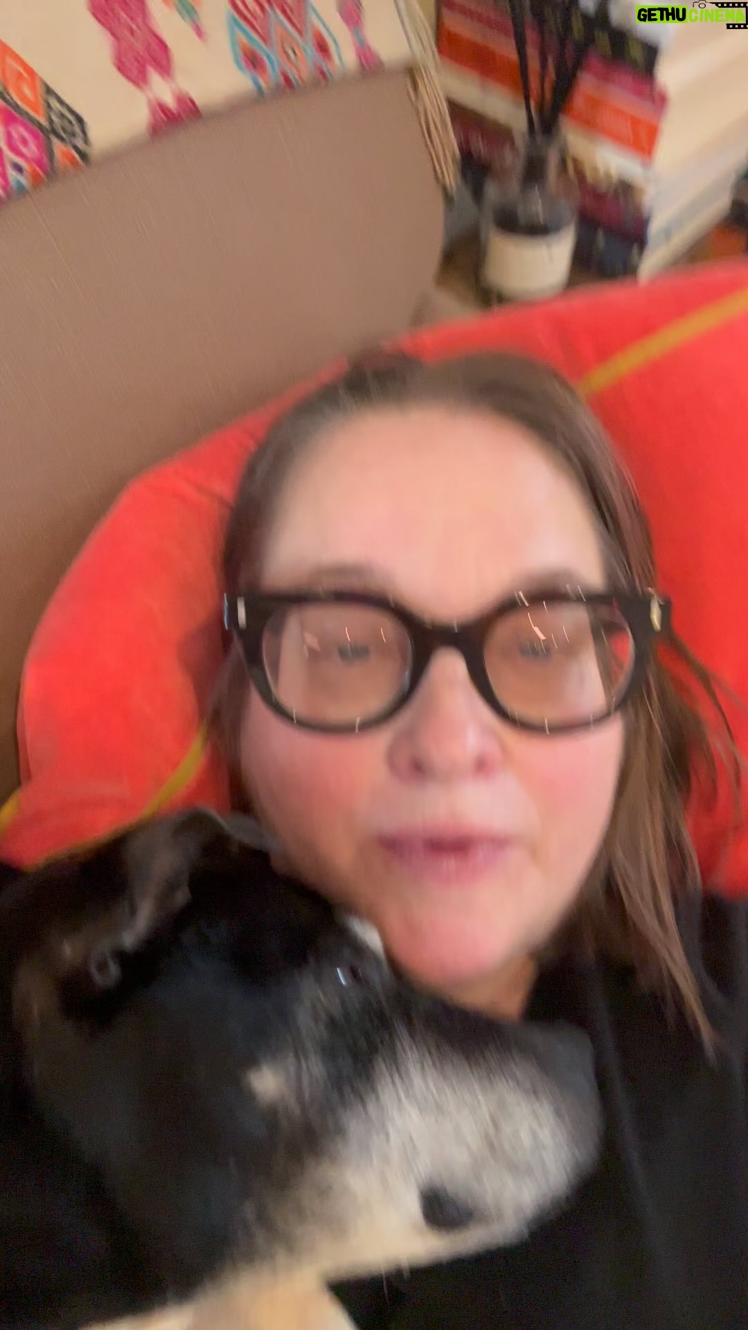 Beatie Edney - 586 Likes - Millie had to go back to the vet as she wasn’t eating. She is eating now. I didn’t realise her recovery would be so up and down. #rescuedig #abandoneddog