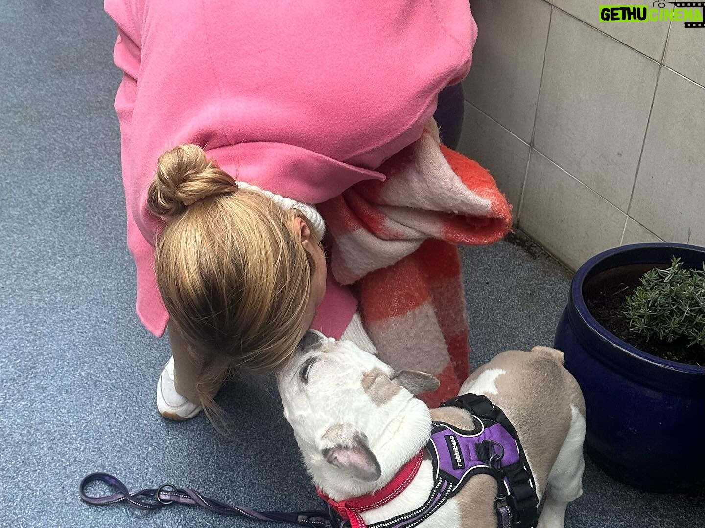 Beatie Edney - 255 Likes - @lauraikman and I together today at our favourite charity @themayhew in (1) for the opening of the #olijuste wing - supported by the amazing #duchessofsussex . Animal charities are going through a tough time at the moment. They are announcing their new campaign Lasting Love. The Mayhew helps dogs, cats and communities. They help keep animals healthy and united with their humans. (2 Laura meeting her possible foster dog (3) a Mayhew cat spying on the festivities (4) Mayhew rescue turned Therapaws dog. #animalcharity #rescuedog #rescuedogsofinstagram #rescuecat