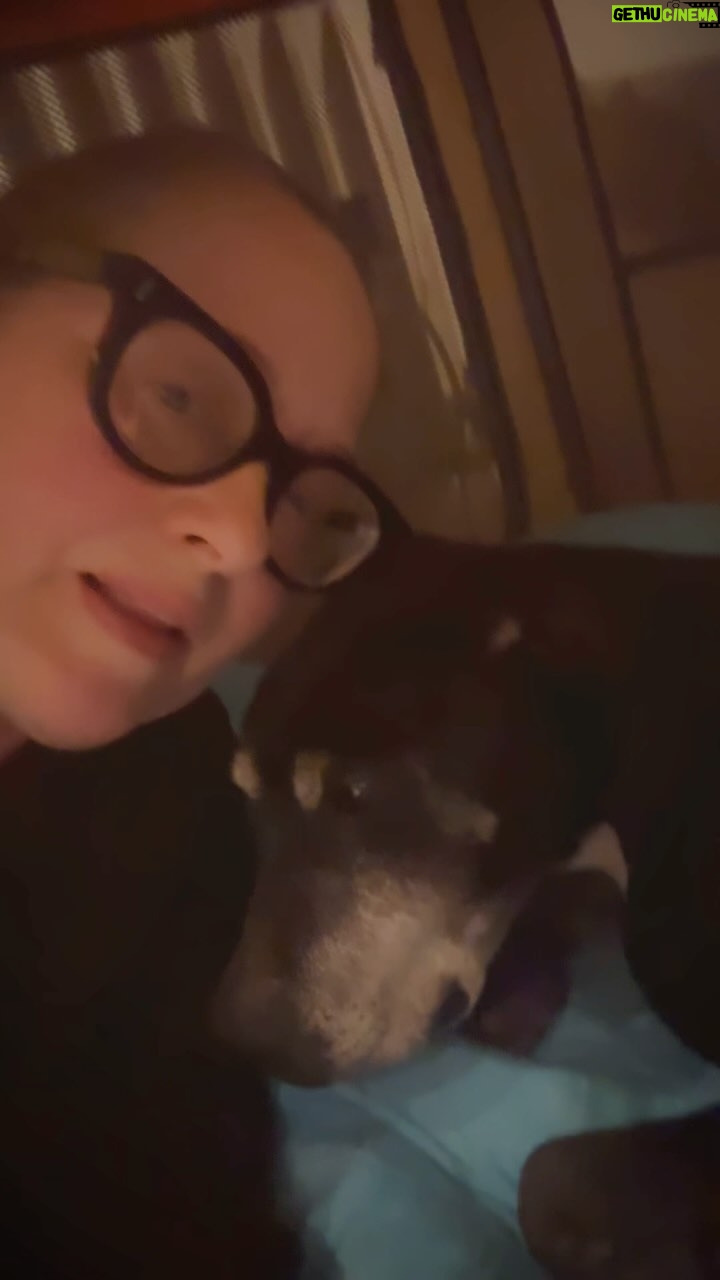 Beatie Edney - 499 Likes - #pupdate Millie’s night time regime. Today we went to the vet and Millie is now 10.9 kg. We’ve decided to put her on home cooked chicken and rice, for a week, to settle her stomach. She had some of her toenails cut and an injection to help her arthritis. The vet said she was lovely. People have been very kind saying how amazing I was to take Millie in, but I have to thank my good friend @julietcowan1 - who rescued Millie in the first place. She found her late at night abandoned in our local park. Tomorrow Millie is officially mine.