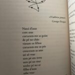 Beatriz Costa