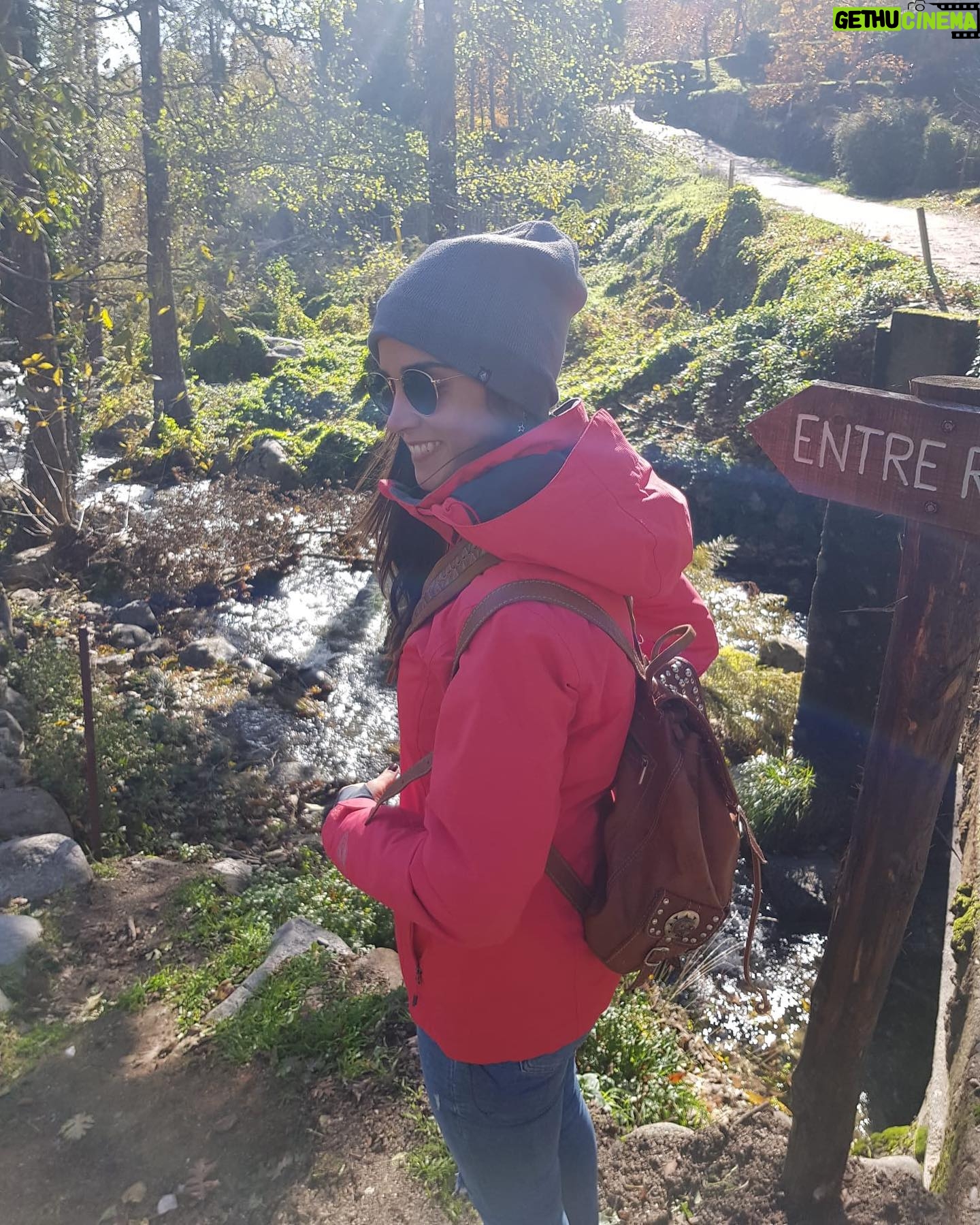 Beatriz Zamorano - 778 Likes - Rodearse de esto 🍁🌿 #naturaleza #felicidad #airepuro #sierra #gredos #finde #noviembre #escapada #sinfiltros