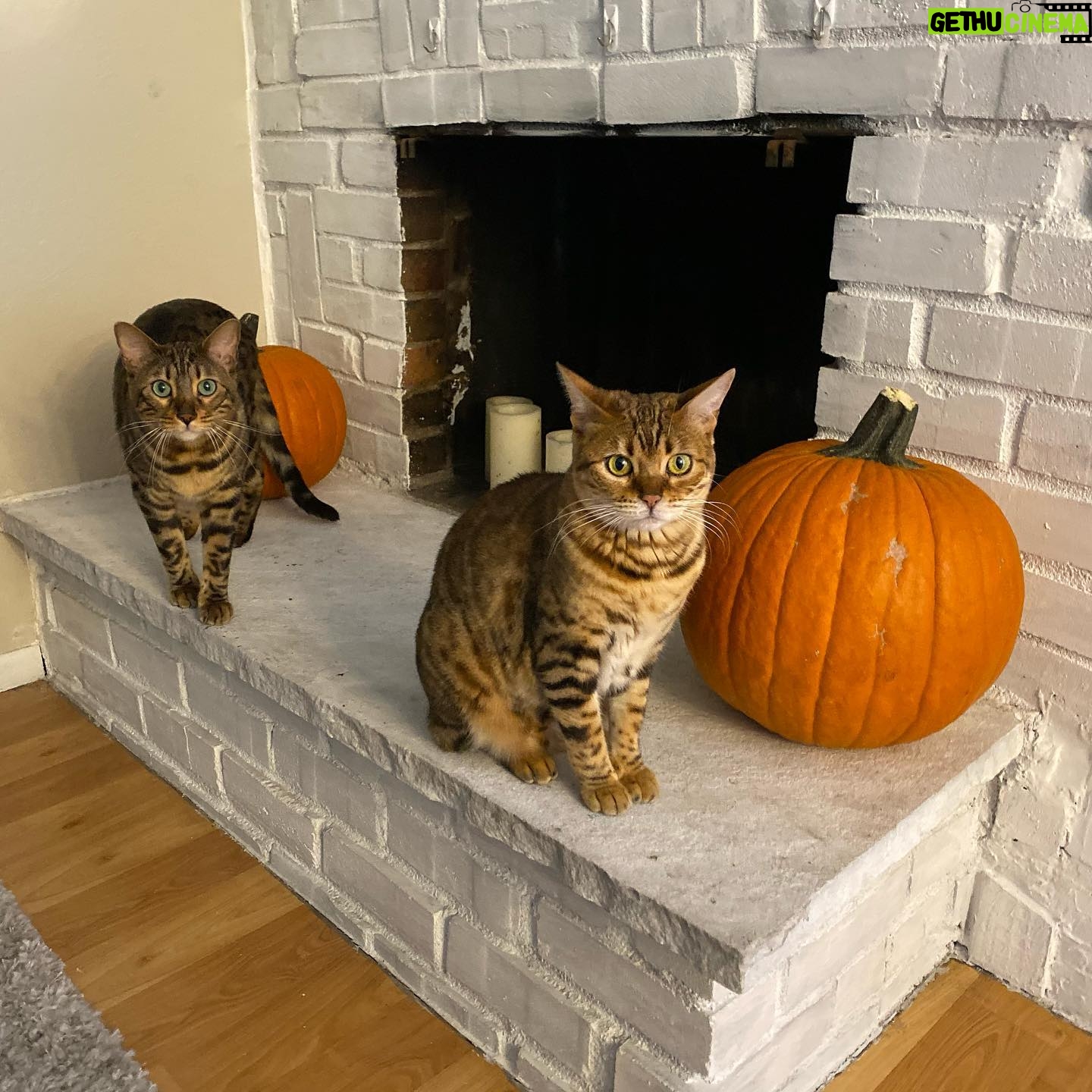 Becky Durst - 1.4K Likes - Do fall festivals even count if you don’t post an IG pic? #basic #sorrynotsorry 🎃