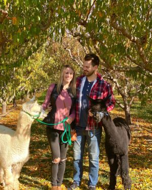 Becky Durst Instagram - Is this real life?! 😍 Casually strolling our alpacas through Colorado peach orchards 🍑🦙🌳