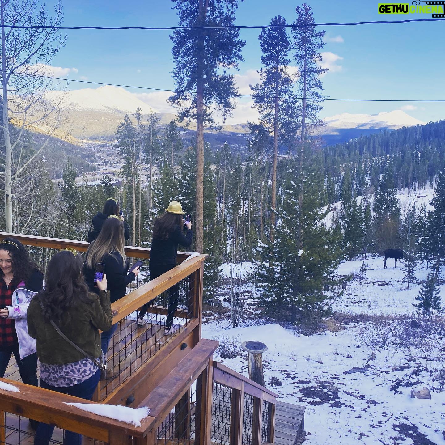 Becky Durst - 1.1K Likes - Celebrated my bachelorette weekend with 9 incredible ladies and 12 inches of fresh powder! Thank you to my wonderful ladies for making it up and an extra special THANK YOU to @lindzoid_ig for hosting the perfect weekend 🥰 #feyoncé #bacheloretteparty #dontforgetnaptime