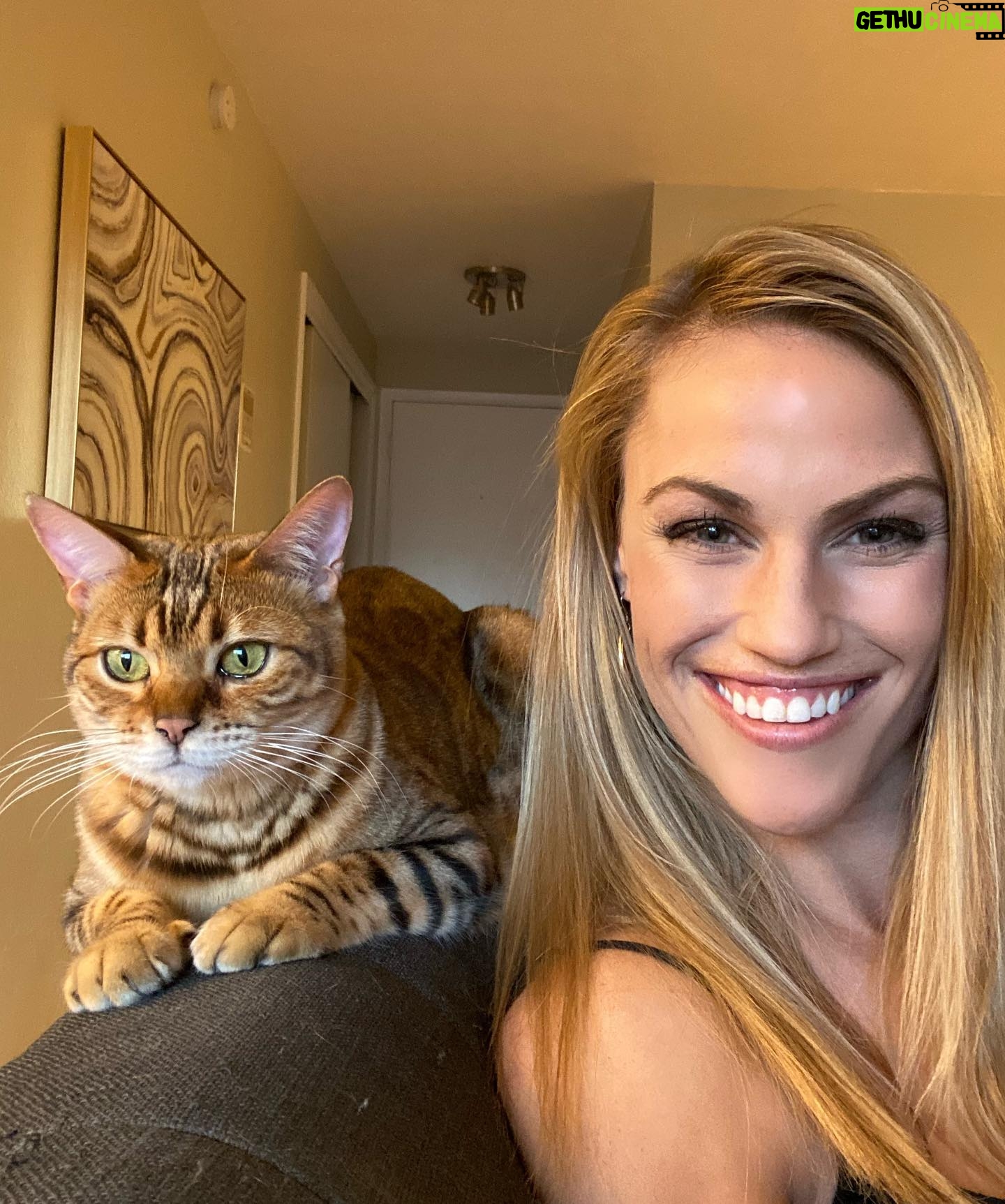Becky Durst - 1.1K Likes - Have you ever had a pet that picked you? Then you two became soul mates? Meet Sophia 🐱
Almost two years ago, I was ready to pick up my new bengal kitten Aspen that was BEAUTIFUL! The breeder then explained that there was a second kitten that was a runt of the litter and did not have the pretty spots bengals are known for. Didn’t take long to convince me I should bring the second one home. (Sucker 🙋🏼♀️) She is a wild cat that is waaay too smart for her own good. But when she cuddles up on my lap, it’s melts my heart. 🥰 So happy this little girl found her way to my home!
#bengal #catlady