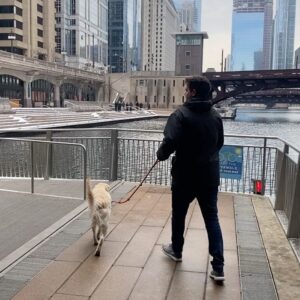 Becky Durst Instagram - WE MOVED TO CHICAGO!!! 😁 Thanks to my incredible husband for supporting me and my financial career! Excited to see what the is new chapter brings.