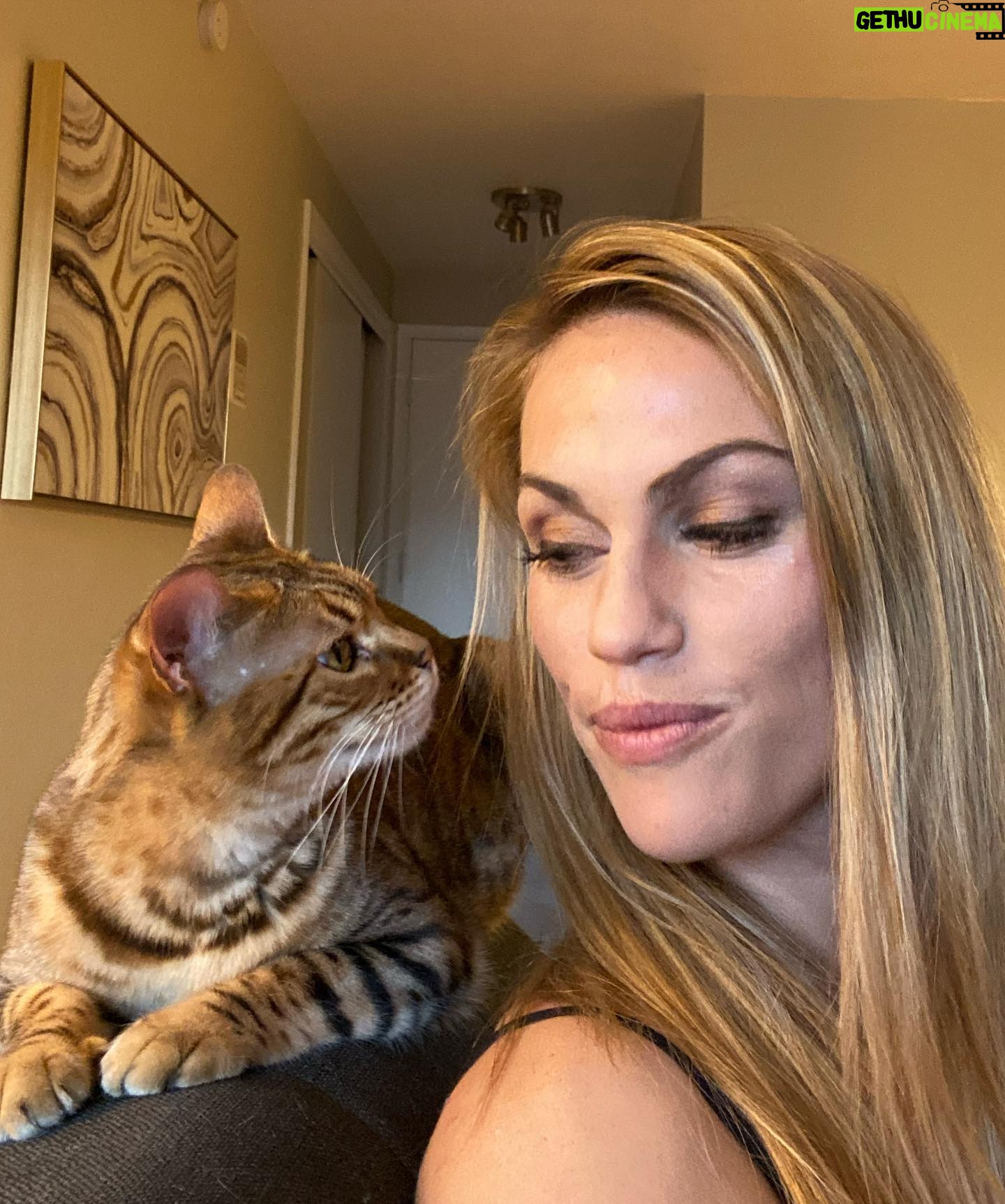 Becky Durst - 1.1K Likes - Have you ever had a pet that picked you? Then you two became soul mates? Meet Sophia 🐱
Almost two years ago, I was ready to pick up my new bengal kitten Aspen that was BEAUTIFUL! The breeder then explained that there was a second kitten that was a runt of the litter and did not have the pretty spots bengals are known for. Didn’t take long to convince me I should bring the second one home. (Sucker 🙋🏼♀️) She is a wild cat that is waaay too smart for her own good. But when she cuddles up on my lap, it’s melts my heart. 🥰 So happy this little girl found her way to my home!
#bengal #catlady