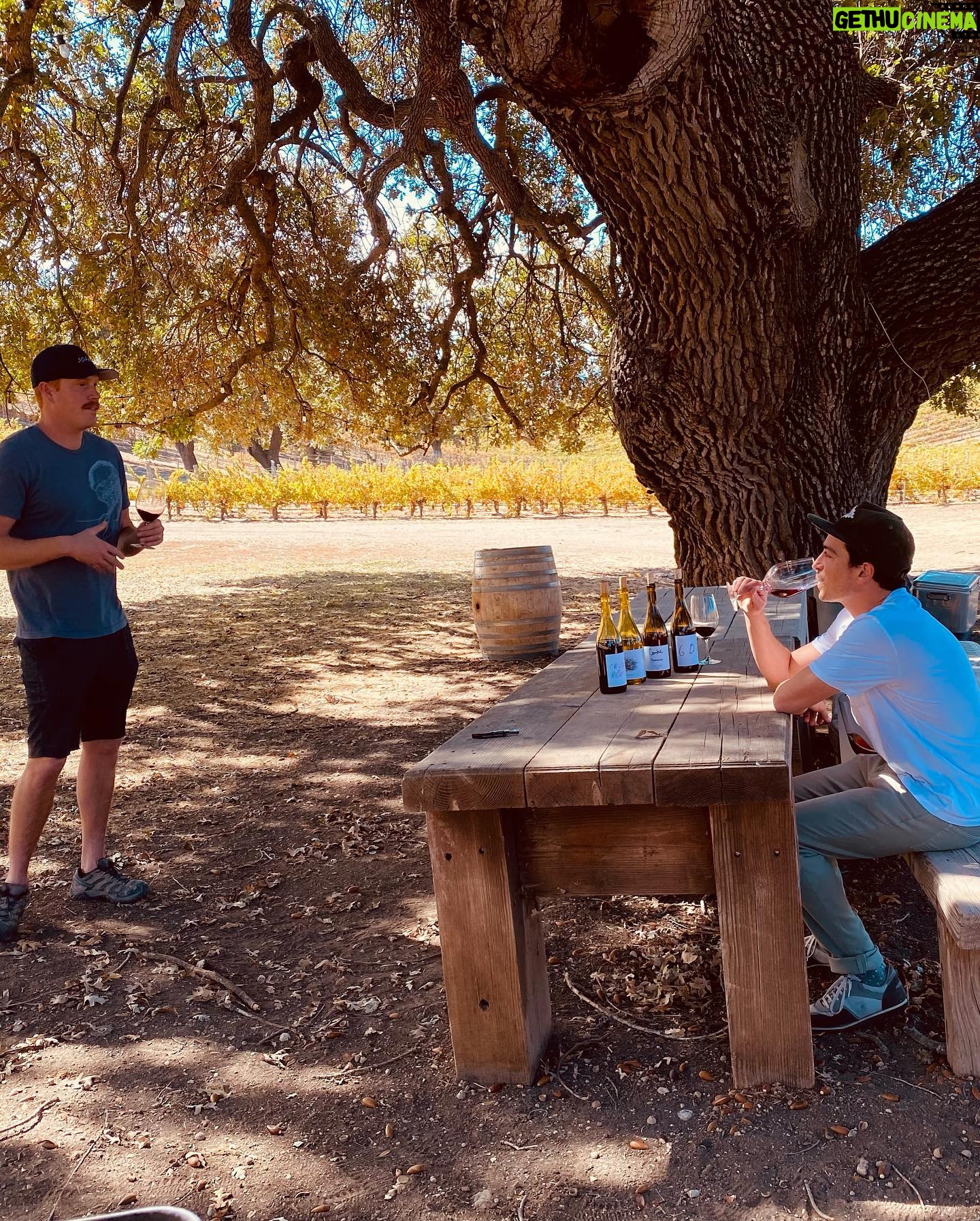 Ben Feldman - 25.2K Likes - It’s ok to drink in the morning.
I could name 10 different reasons @stolpmanvineyards is better & more exciting than whatever you drank last & I (likely) don’t even know you.
*last pic is “lunch”