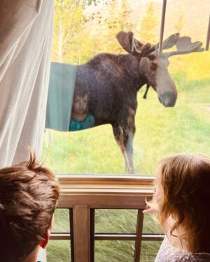 Ben Feldman Instagram - Wholesome Wyoming content dump to cleanse your feed