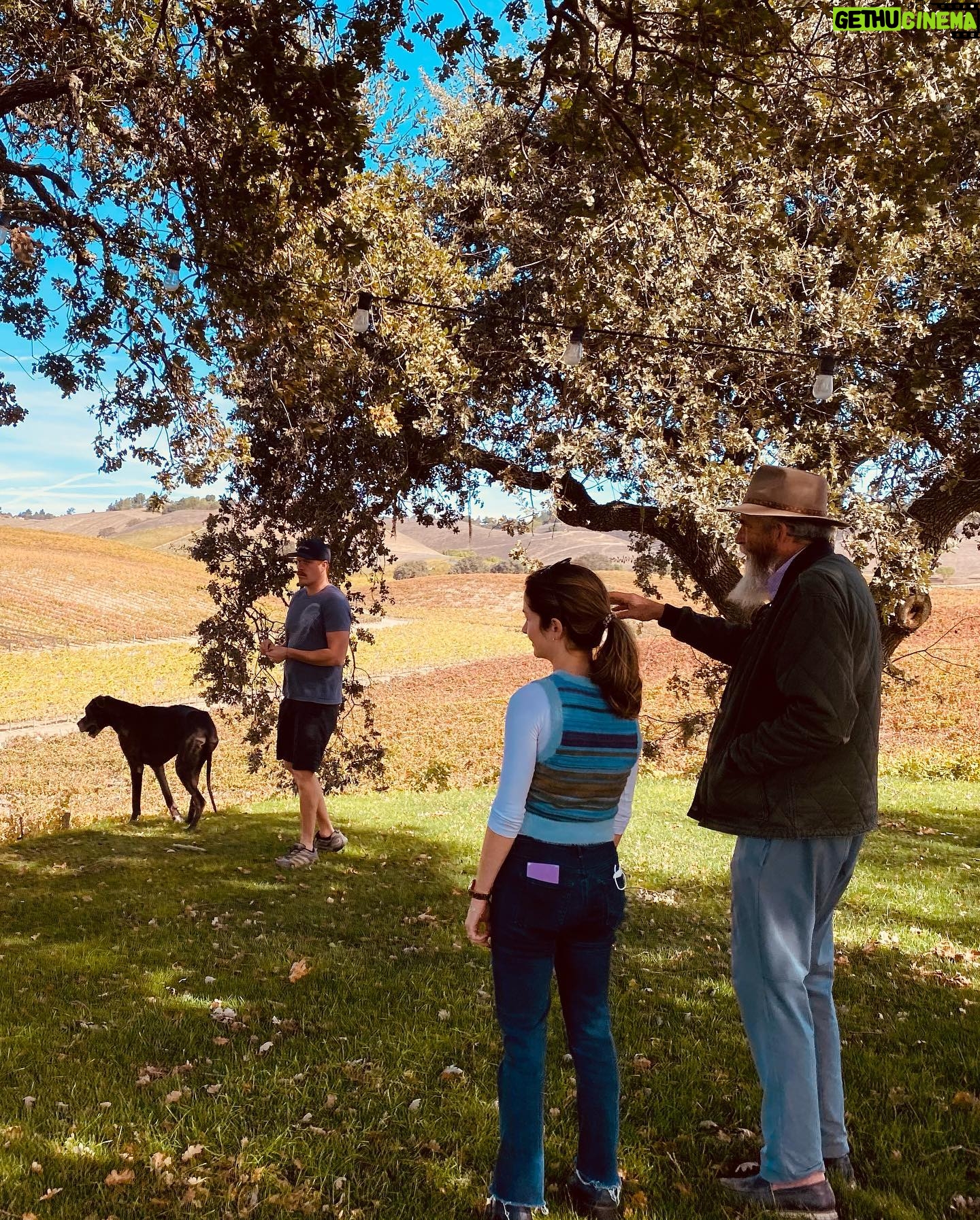 Ben Feldman - 25.2K Likes - It’s ok to drink in the morning.
I could name 10 different reasons @stolpmanvineyards is better & more exciting than whatever you drank last & I (likely) don’t even know you.
*last pic is “lunch”
