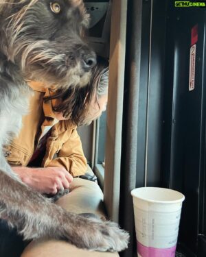 Ben Folds Instagram - Maurice seeing the world outside his neighborhood for the first time, from a tour bus. (Maurice is in foreground - that’s Josh behind and he’s seen pretty much everything)