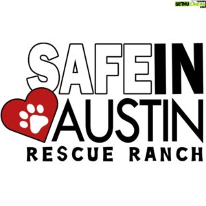 Ben McKee Instagram - #TodayIGive to @SafeinaustinRescue. Safe in Austin rescues animals from severe abuse or neglect, and after rehabilitation, those that are able are introduced to children that come from similar backgrounds to create an environment of mutual healing. Safeinaustin.org