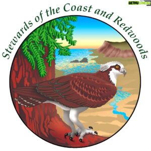 Ben McKee Instagram - #TodayIGive to @stewardsofcr . Stewards of the Coast and Redwoods helps to manage and care for the redwood forests where I grew up. This year, fires tore through the forests that I grew up exploring. Recovery will be a long and ongoing process.  https://stewardscr.org