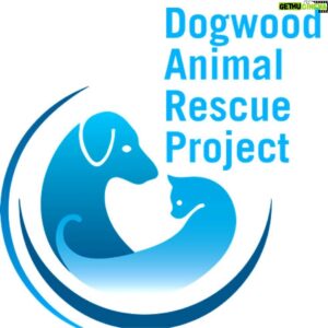 Ben McKee Instagram - #TodayIGive to @dogwoodanimalrescue. Dogwood Animal Rescue is a non-profit foster based animal rescue organization in Sonoma County. They support animals and the people who love them through rescue, rehoming, spay/neuter and education. Go to dogwoodanimalrescue.org to support if able.