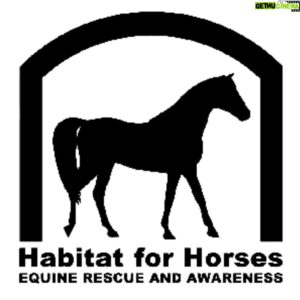 Ben McKee Instagram - #TodayIGive to @habitat_for_horses. Habitat for Horses promotes the safety, well being & health of horses, & educates people about the physical & mental health needs of horses. They promote positive training techniques & work to heal & re-home sick or injured animals. Habitatforhorses.org