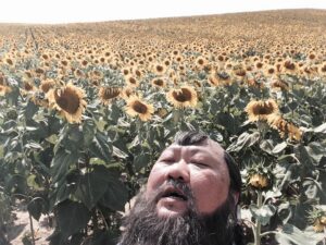 Benedict Wong Instagram - Kublai Sunflowers in Budapest