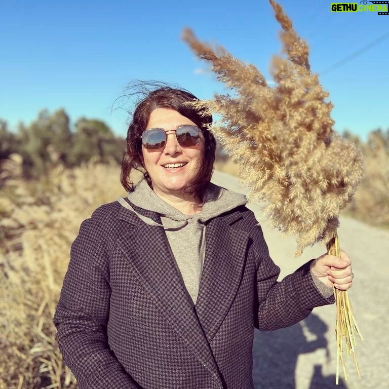 Benian Dönmez - 1.4K Likes - Ayvalık'ta kış 🌾