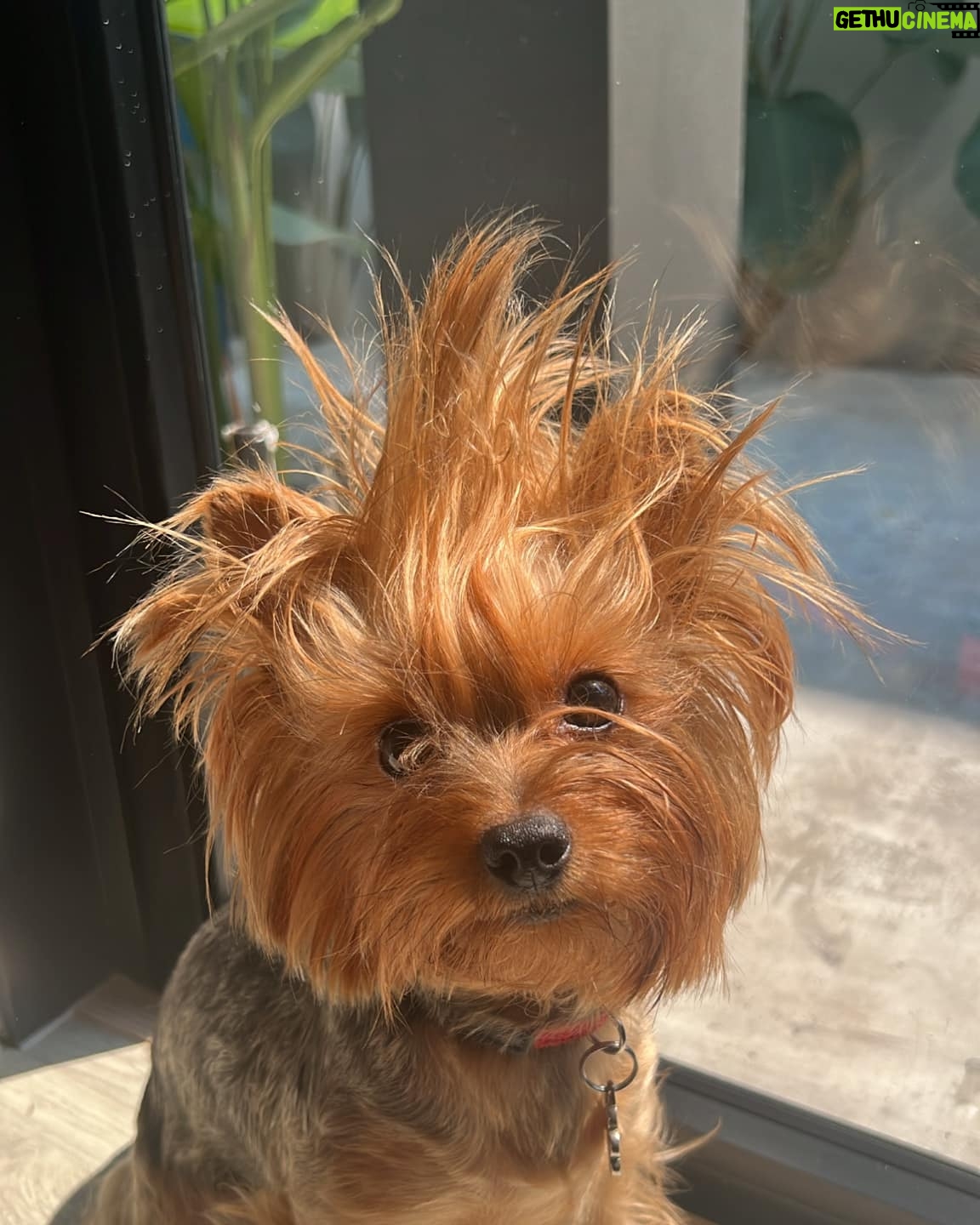 Benjamin Joseph Varney - 3 Likes - My hair in da mourning. #daisy