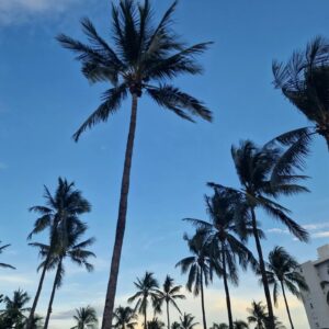 Benjamin Machet Instagram - ☀️ Sunshine State ☀️

Voici 4 jours que nous sommes à Miami, entre plage, palmiers, chaleur étouffante, paysages colorés, atmosphère glamour, rythmes latinos et galères.

Notre séjour aurait pu mieux commencer mais nous sommes en famille, en vacances, au soleil... ça pourrait être pire!

On a essayé de nous arnaquer 3 fois, emmené la voiture à la fourrière 2x et $600.- d'amendes plus tard nous sommes toujours heureux d'être ici 🤩

Nous avons silloné les rues de South Beach en long et en large, la plage est magnifique et le sable brûlant. 

Nous sommes partis visiter le quartier de Wynwood, au nord de Miami, niché entre Midtown et le Design District. Connu pour ses nombreuses peintures murales colorées, Wynwood est l'un des quartiers les plus tendance de la ville. Un musée en plein air qui présente des œuvres à grande échelle de certains des artistes de rue les plus célèbres au monde.

C'est sans doute ce qui nous a le plus plu depuis notre arrivée.

Aujourd'hui, nous prenons la route pour les Everglades puis Marathon, dans les keys 🤩

#happy #family #florida #roadtrip #love