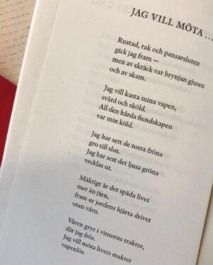 Beri Gerwise Instagram - KRIS. Frida, det verkar som att vi måste säga hejdå till den här nu och på riktigt den här gången. Men jag säger inte hejdå till dig, aldrig aldrig någonsin. Vilken underbart fin slump och chans jag fick att lära känna dig såhär och råkade få fortsätta med det i 3 år. Du har hört min summering så jag ska inte dra hela alltet här. Men jag vill berätta att KRIS öppnade universum för mig och jag fick lära mig the ropes med @fribec vid min sida, tack för rustningen. TACK till team @kulturhuset_vallingby och team ”KRIS” som höll den här pjäsen med varma händer tills vi fick visa upp den. ❤️‍🔥 Inga namn nämnda, inga namn glömda. Tack @maja.salomonsson.3 för förtroendet. Och sist men inte minst TAAAAAACK till alla som kommit och sett oss och alla fina ord och alla otroligt fina recensioner. Tror ni fattar hur stolt jag är över den här. Okej! Det var det. Nu gör vi den här grejen en sista gång ikväll och sen ses vi en annan gång i en annan värld. KRAM.