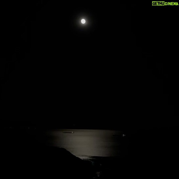 Beril Kayar - 3 Likes - fullmoon