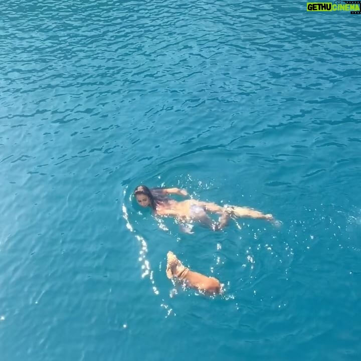 Beril Kayar - 3 Likes - spushum , sensiz yuzmeye alisik degilim. kaşığım. biricigim. 🤎