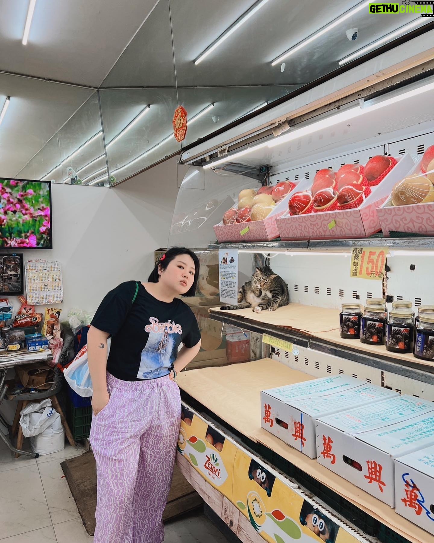 Berry Wen-i Kuo - 311 Likes - 我知道你喜歡涼快的地方~
因為我也是。
#水果店 #貓
#大文的日常生活 #大文
📸 @berlin_zhuang