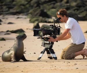 Bertie Gregory Instagram - Young Galapagos sea lions are endlessly curious and this individual kept approaching to within my lenses minimum focus distance. The adults are less so and during the heat of the day tend to lounge around on the beach. Many sea lion species are thigmotactic meaning essentially, they like hugs (from other sea lions, definitely not people). Despite the baking heat, we often saw them lined up together in rows. Who’s seen the Galapagos episode of ‘Animals Up Close’ now on Disney ? Photos by @jamesnbrickell and @jeffbhester #AnimalsUpClose