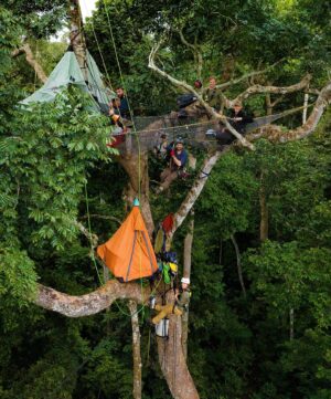 Bertie Gregory Instagram - #CanopyCampLife! Our rope experts @waldo_etherington and @meg_and_onaldson rigged this tree house allowing us to film, sleep and eat high in the trees as the elephants went about their business underneath us. Due to a long history of poaching and their thick jungle home, forest elephants understandably get very grumpy when they bump into humans. So by staying off the forest floor, we could film while the elephants did their thing undisturbed. Also featured in these pics is director @markmcc01 and sound recordist @justdrewsound. 

Many people seem to be very curious as to how we went to the bathroom. It involved a bag, good balance, good aim and careful positioning of the climbing harness straps! Supporting us in the trees, we owe a huge thanks to the local team who put in some serious heavy lifting helping carry in and out the jungle all the ropes, filming platforms and hanging tents. More on them soon! Photographed in @dzanga.sangha National Park for the ‘Elephant Quest’ episode of ‘Animals Up Close’ now streaming on Disney ! #AnimalsUpClose @wildstarfilms @natgeotv @remote_ropes_ltd
